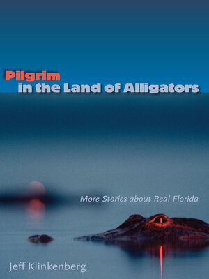 cover image of Pilgrim in the Land of Alligators